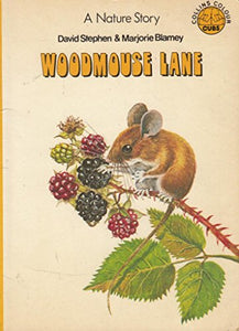 Woodmouse Lane 