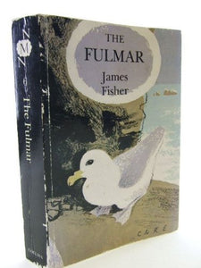 The Fulmar 