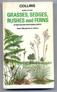 Grasses, Sedges, Rushes and Ferns of Britain and Northern Europe 