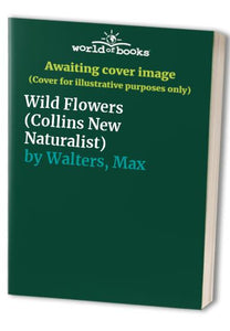 Wild Flowers 