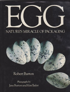 Egg 