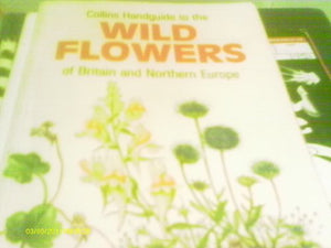 Handguide to the Wild Flowers of Britain and Northern Europe 