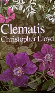 Clematis 