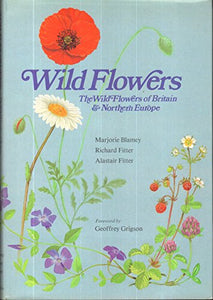 Wild Flowers 