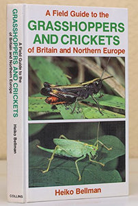 Field Guide to the Grasshoppers of Britain and Europe 