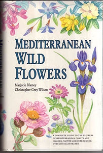 Mediterranean Wild Flowers 