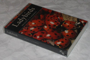 Ladybirds 