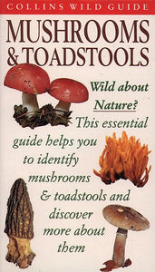 Mushrooms and Toadstools of Britain and Europe 