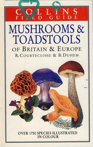 Mushrooms and Toadstools of Britain and Europe 