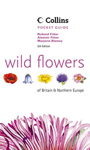 Wild Flowers of Britain and Northern Europe 