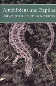 Amphibians and Reptiles 