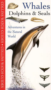 Whales, Dolphins and Seals 