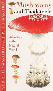 Mushrooms and Toadstools 