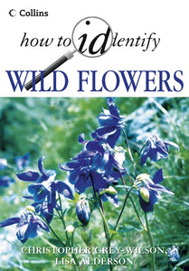 Wild Flowers 