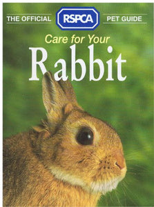 Care for Your Rabbit 