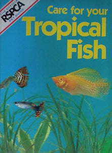 Care for Your Tropical Fish 