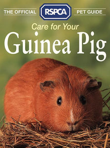 Care for Your Guinea Pig 