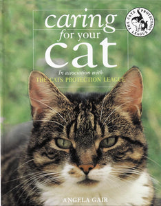 Caring for Your Cat 