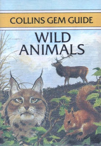 Wild Animals 