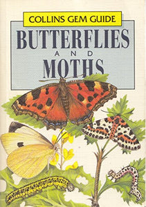 Butterflies and Moths 