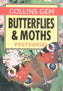 Butterflies and Moths 