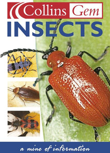 Insects 