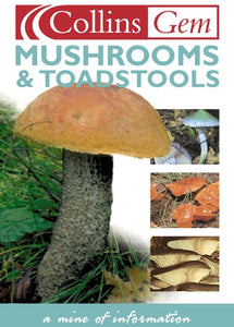 Mushrooms and Toadstools 