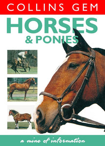 Horses and Ponies 