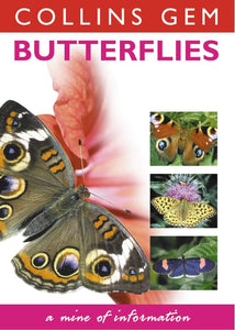 Butterflies and Moths 