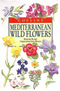 Mediterranean Wild Flowers 