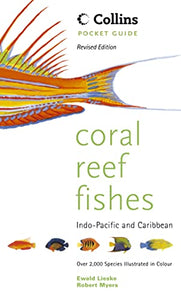 Coral Reef Fishes 