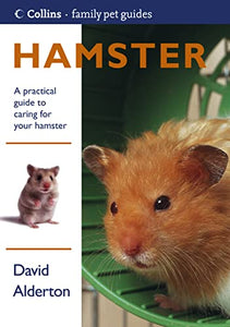 Hamster 