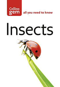 Insects 