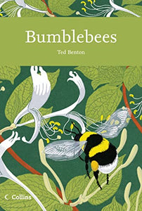 Bumblebees 