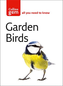 Garden Birds 