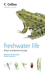 Freshwater Life 