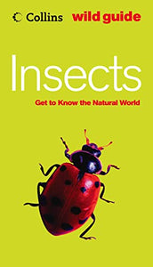 Insects 