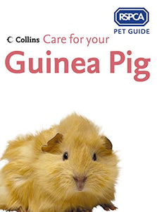 Care for your Guinea Pig 