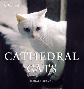 Cathedral Cats 