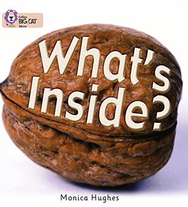 What’s Inside? 