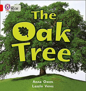 The Oak Tree 