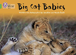 Big Cat Babies 