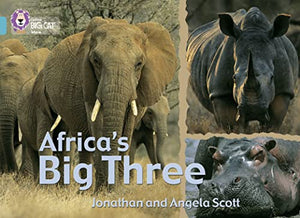 Africa’s Big Three 