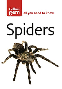 Spiders 