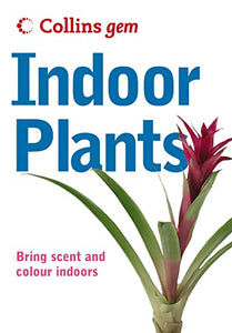 Indoor Plants 