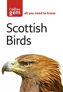 Scottish Birds 