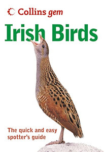 Irish Birds 