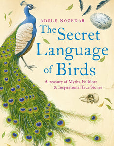 Secret Language of Birds 