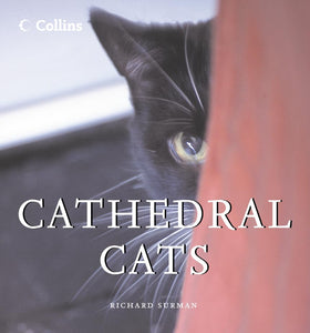 Cathedral Cats 