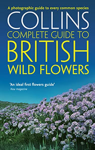 British Wild Flowers 